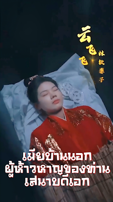 โปสเตอร์หนัง เมียบ้านนอกผู้ห้าวหาญของท่านเสนาบดีเอก จบเรื่อง เสียงไทย