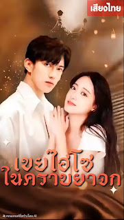 โปสเตอร์หนัง เขยไฮโซในคราบยาจก จบเรื่อง เสียงไทย