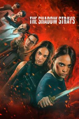 โปสเตอร์หนัง The Shadow Strays นักฆ่าเงาล่าทรชน (2024) NETFLIX