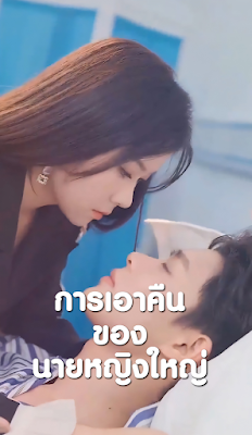 โปสเตอร์หนัง การเอาคืนของนายหญิงใหญ่ จบเรื่อง เสียงไทย