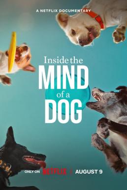 โปสเตอร์หนัง Inside the Mind of a Dog อ่านใจสุนัข (2024) NETFLIX